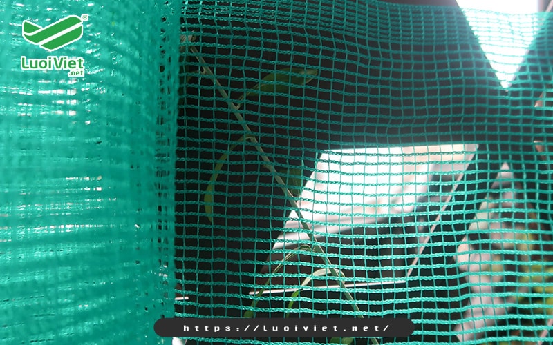 khai-niem-luoi-nuoi-trong-thuy-hai-san