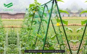 loi-ich-cua-luoi-gian-leo-trong-nong-nghiep