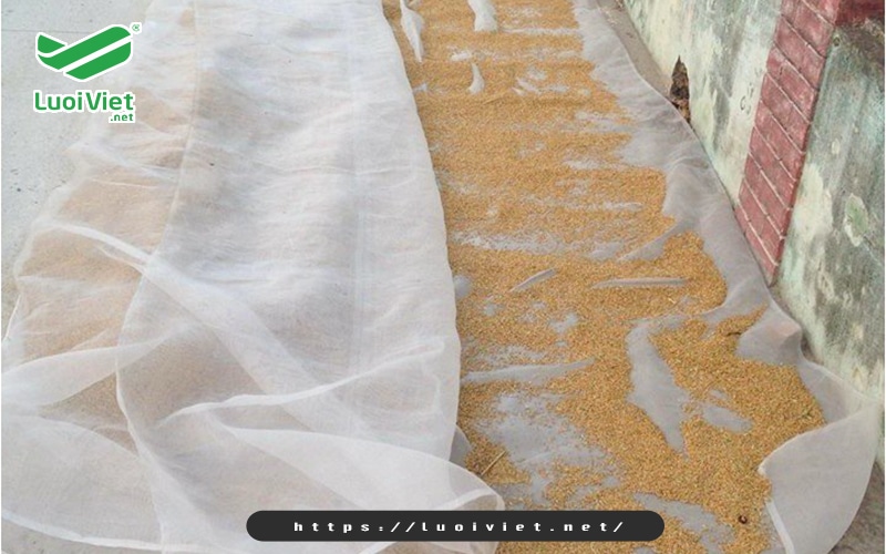 luoi-chan-con-trung-de-phoi-nong-san