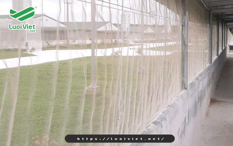 luoi-chan-con-trung-giup-chan-nuoi-gia-suc