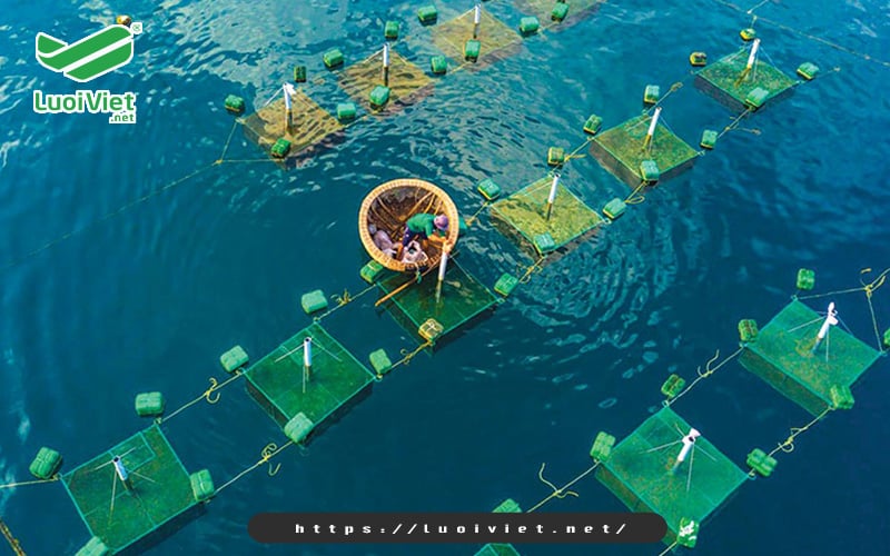 luoi-chan-con-trung-giup-nuoi-trong-thuy-hai-san