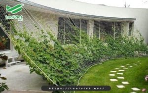 luoi-nong-nghiep-duoc-ung-dung-rong-rai-trong-doi-song