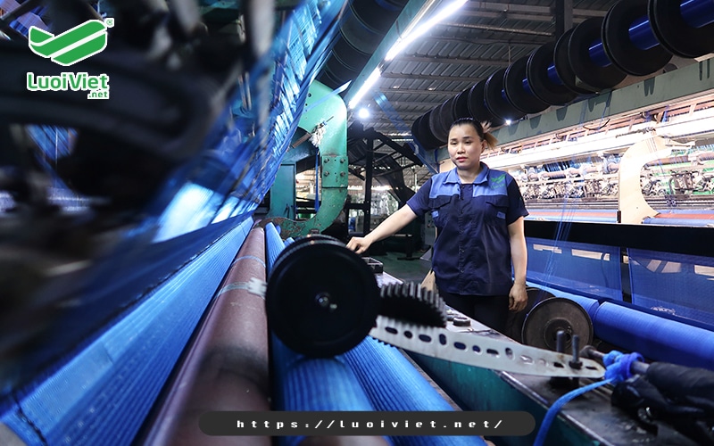 Lợi ích của lưới giàn leo trong sản xuất nông nghiệp 7 luoi-viet-don-vi-cung-cap-luoi-gian-leo