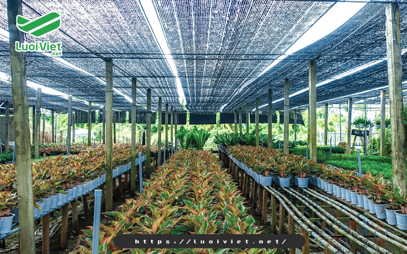 su-dung-luoi-che-nang-cho-cay-trong