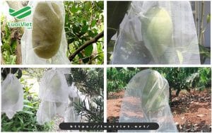 tui-luoi-bao-trai-cay-sieu-ben