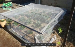 ung-dung-cua-luoi-chan-con-trung-trong-nong-nghiep