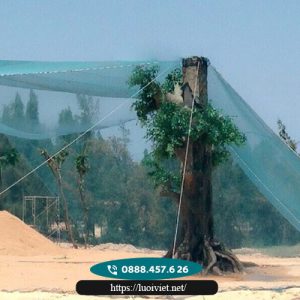 Lưới-chắn-chim-Việt-Nam2