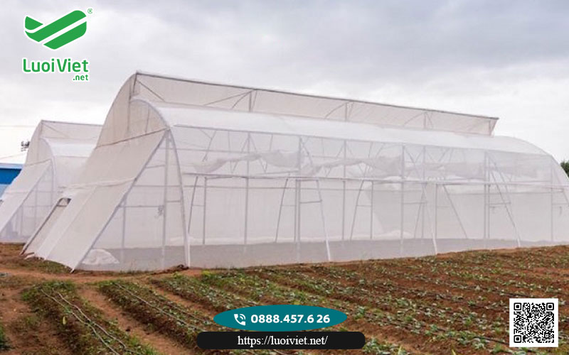 Lưới chắn côn trùng màu trắng 9 Luoi chan con trung mau trang3