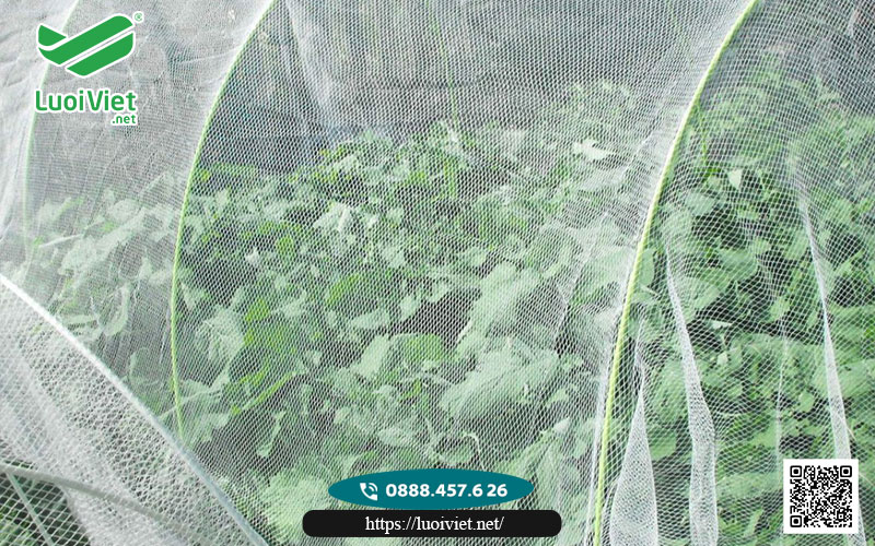 Lưới chắn côn trùng màu trắng 8 Luoi chan con trung mau trang4