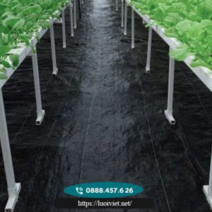 Lưới chắn mọc cỏ 2 Lưới-chắn-mọc-cỏ2