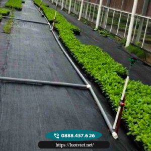 Lưới chắn mọc cỏ 3 Lưới-chắn-mọc-cỏ3