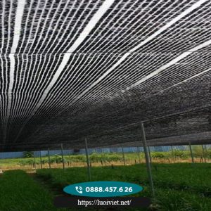 Lưới che nắng sợi tròn màu đen 3 Lưới-che-nắng-sợi-tròn-màu-đen3