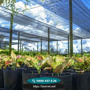 Lưới-che-nắng-sợi-tròn-màu-đen5