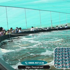 Lưới-che-nắng-sợi-tròn-màu-xanh-đen5