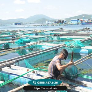 Lưới-nuôi-trồng-thủy-hải-sản5