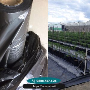 Màng-phủ-nông-nghiệp1