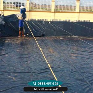 Màng-phủ-nông-nghiệp7