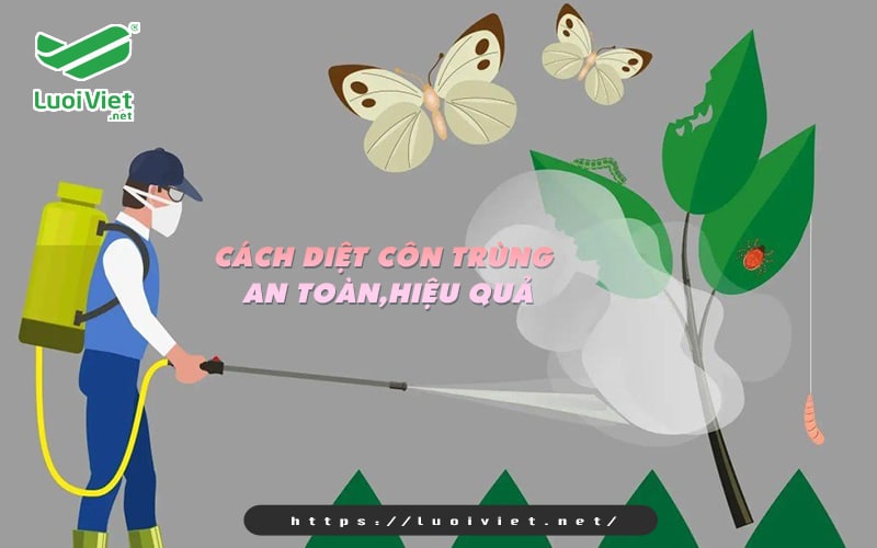 Bí quyết giúp nhà nông diệt côn trùng an toàn, hiệu quả  1 cach-diet-con-trung-an-toan-hieu-qua