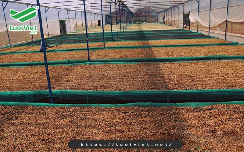 luoi-o-vuong-dung-de-phoi-nong-san