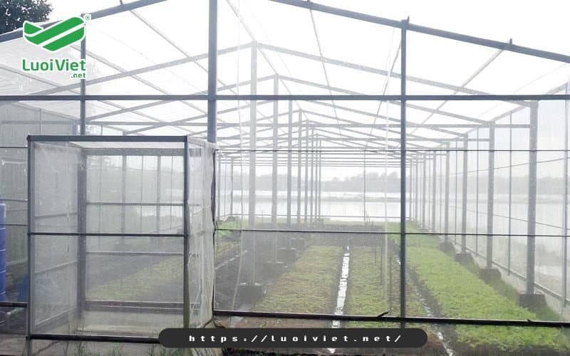 Nhà lưới trồng rau sạch - xu hướng mới trong nông nghiệp 4 nha-luoi-giup-phong-ngua-con-trung-sau-benh-hieu-qua