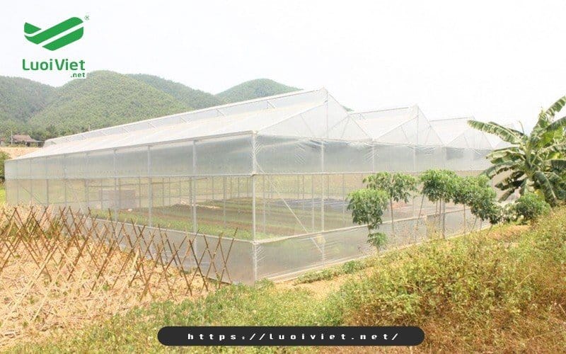Nhà lưới trồng rau sạch - xu hướng mới trong nông nghiệp 1 nha-luoi-trong-rau-sach-xu-huong-moi-trong-nong-nghiep
