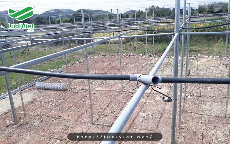 Đối với thân trụ cho giàn lan