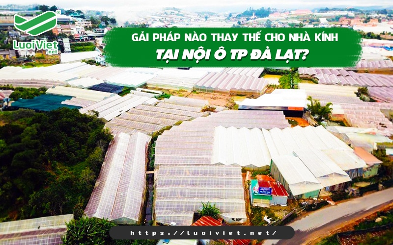 Giải pháp nào thay thế cho nhà kính tại nội ô TP. Đà Lạt? 1 Vì sao nhà kính dần bị “xóa sổ” tại nội ô Đà Lạt?