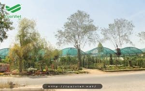 Chọn lưới che nắng cho vườn cây