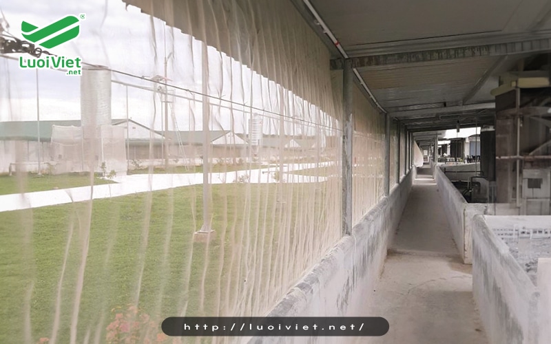 Lưới chắn côn trùng cho chuồng trại