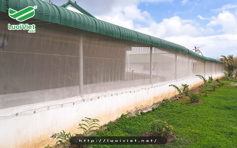 Lưới chống muỗi cho chuồng trại