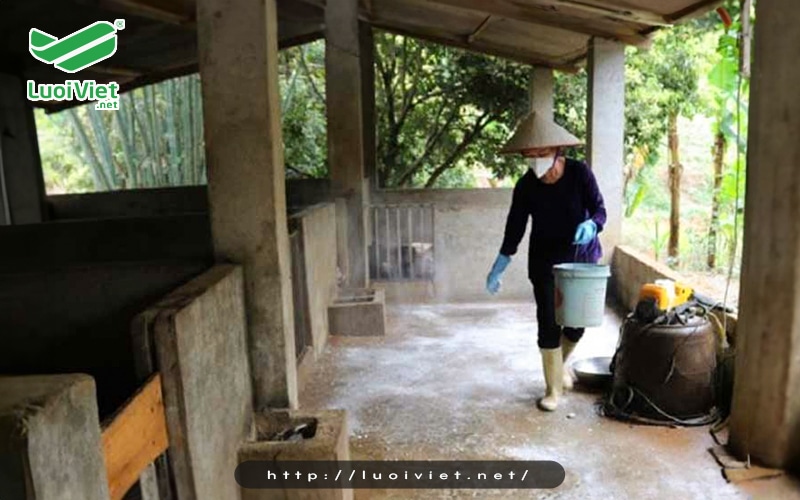 Chuồng trại không đảm bảo vệ sinh