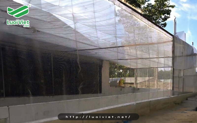 Côn trùng truyền bệnh xâm nhập vào chuồng trại