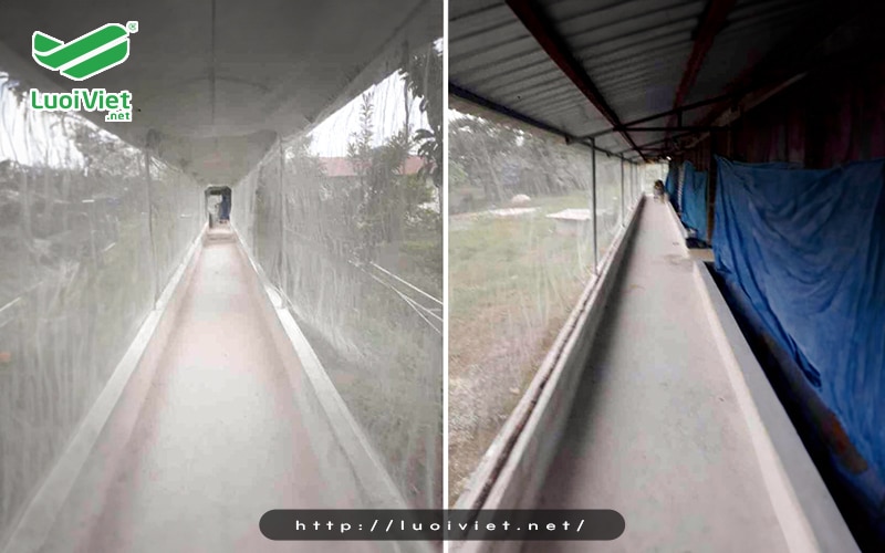 Ưu điểm nổi bật của lưới chống muỗi cho chuồng trại