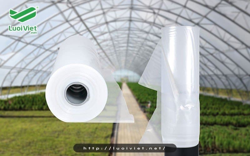 Màng PE (màng chít)