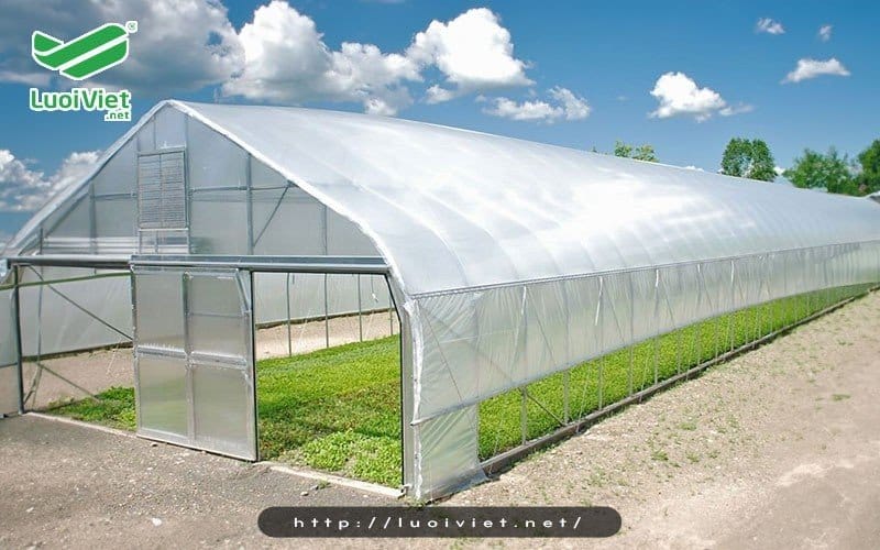 Trường hợp nên chọn nhà kính