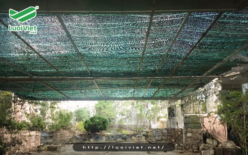 Sử dụng lưới che nắng Thái Lan trồng rau