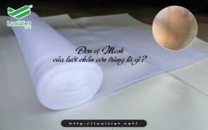 Đơn vị Mesh của lưới chắn côn trùng là gì? Quy đổi như thế nào?