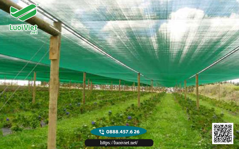 Lưới che nắng sợi tròn màu xanh lá 9 Lưới-che-nắng-sợi-tròn-màu-xanh-lá2